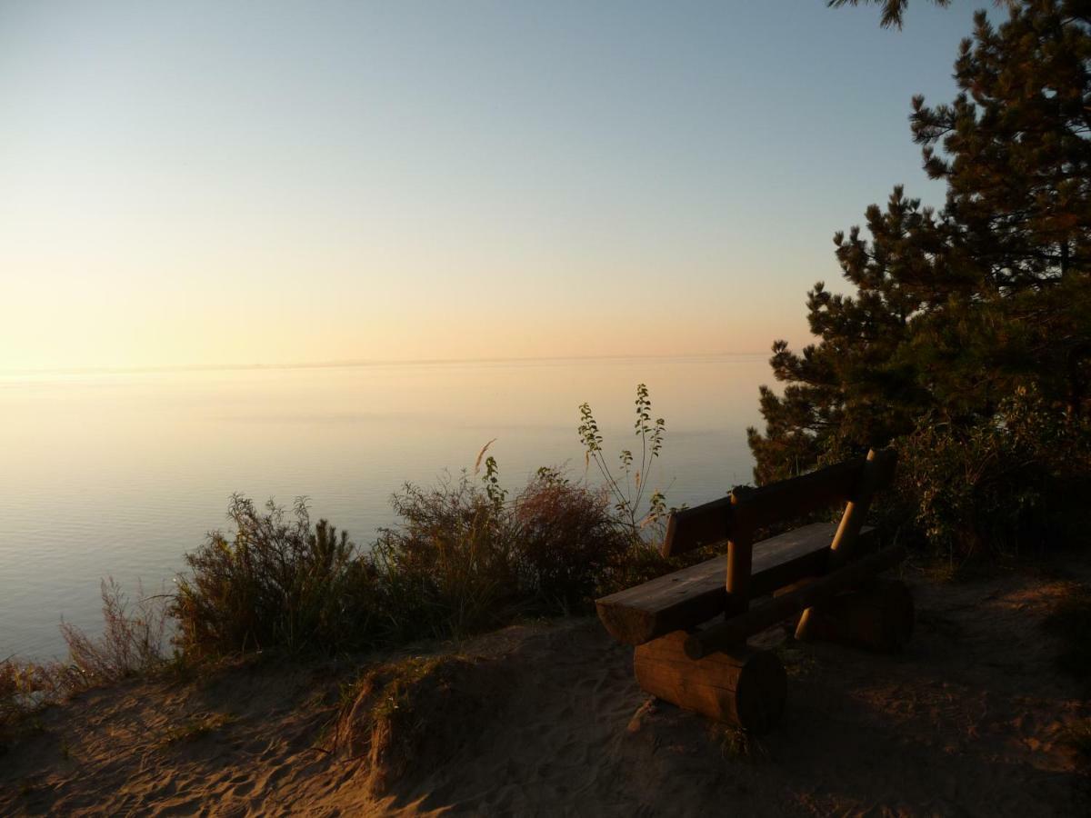 Urlaub Fuer Erwachsene - Usedom Ferienwohnungen Tannengrund Loddin Exteriör bild